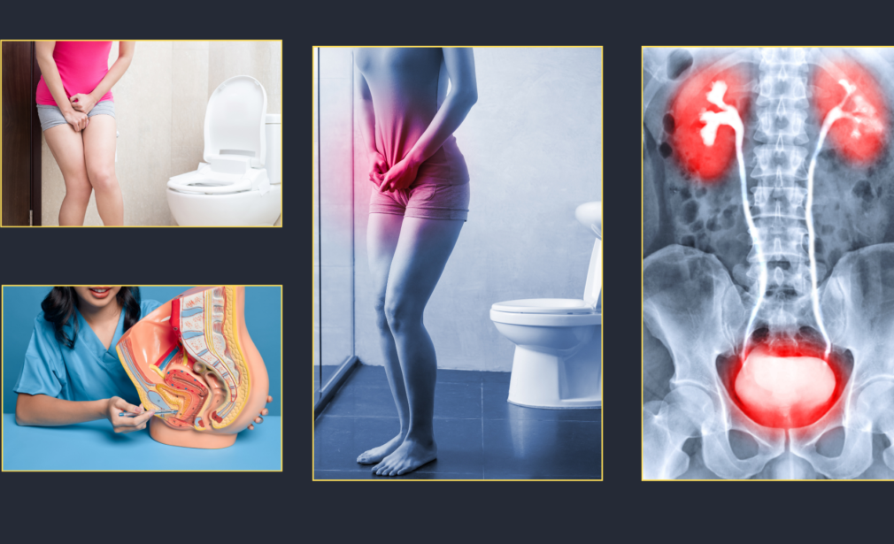 Book an Appointment for Urinary Bladder and Urinary Issues: Expert Care at Your Fingertips