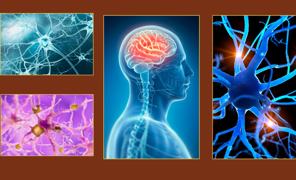 Top Neurological and Wellness Centers in India: Effective Solutions for Curing Health Issues